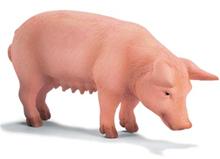 Bild Schleich Bondgårdsdjur Gris
