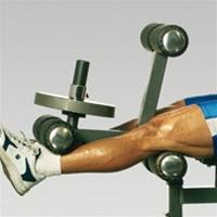 Bild LegExtension/Curl, PowerTec