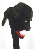 Bild Headcover Djur Hund Labrador