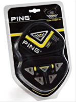 Bild Ping Viktkit iWi