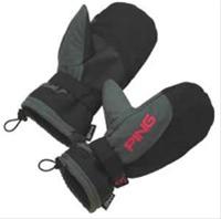 Bild Ping Vintervantar