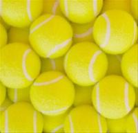 Bild Symbol Tennisboll Pressureless 240-pack