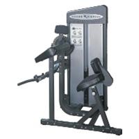 Bild Biceps/Triceps Vision ST770