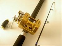 Bild Havsfiskeset Tica-Bela Power 7, 30-50/Team ST458R