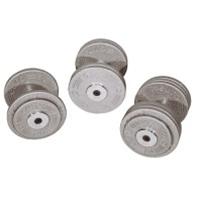 Bild Fast skivhantel