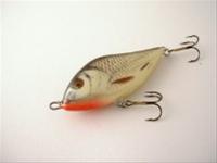 Bild Jerkbait Salmo Slider 10S, RGS