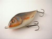 Bild Jerkbait Salmo Slider 12F, RR