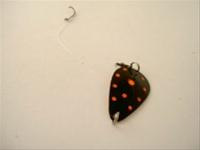 Bild Rödingpirk-Titicaca 50 mm, black/orange