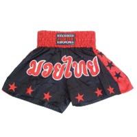 Bild Fighter Thaishorts Stjärnor