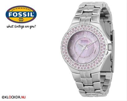 Bild Fossil AM4022