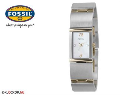 Bild Fossil ES1711