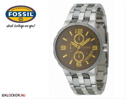 Bild Fossil CH2537