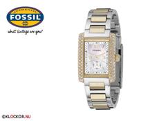 Bild Fossil AM4170