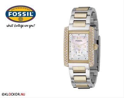 Bild Fossil AM4170
