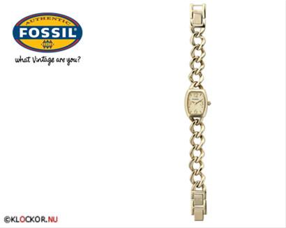 Bild Fossil ES2034