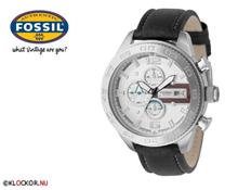 Bild Fossil CH2558