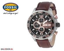 Bild Fossil CH2559