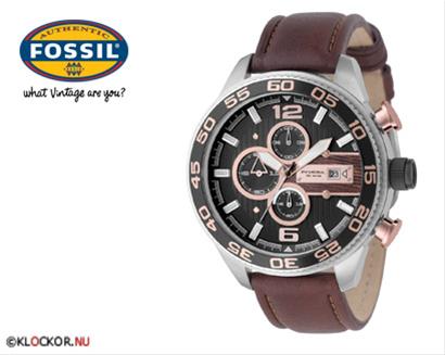 Bild Fossil CH2559