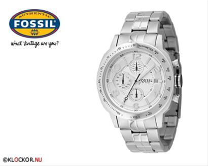 Bild Fossil CH2569
