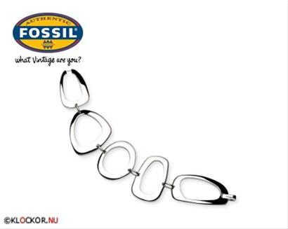 Bild Fossil Armband JF80833