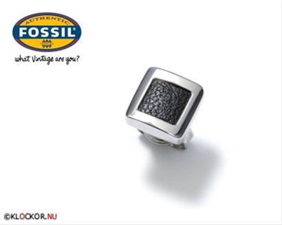 Bild Fossil Örhängen JF80895