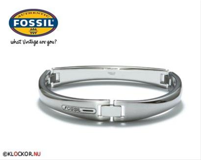 Bild Fossil Armband JF81796