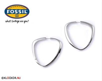 Bild Fossil Örhängen JF82166