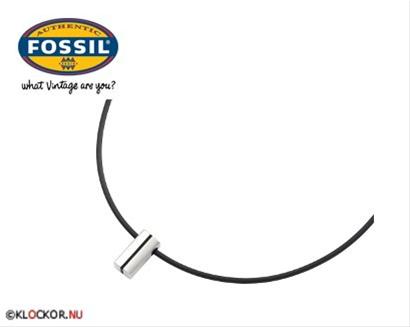 Bild Fossil Halsband JF82865