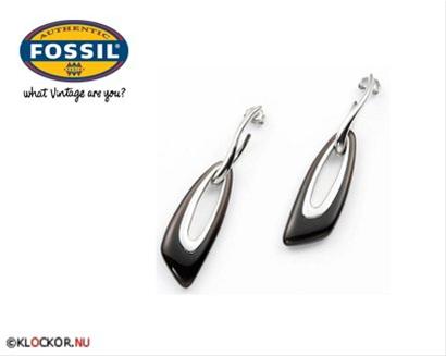 Bild Fossil Örhängen JF83090