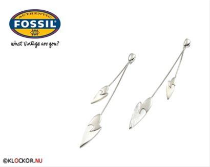 Bild Fossil Örhängen JF83403