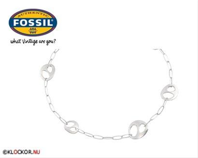 Bild Fossil Halsband JF83460