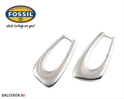 Bild Fossil Örhängen JF83572