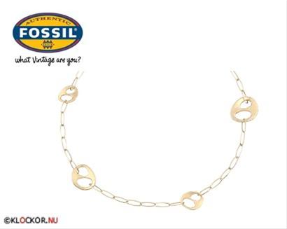 Bild Fossil Halsband JF83703