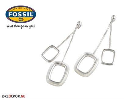 Bild Fossil Örhängen JF83801