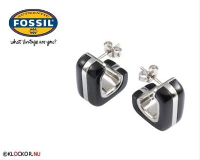 Bild Fossil Örhängen JF83803