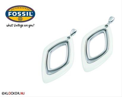 Bild Fossil Örhängen JF83824