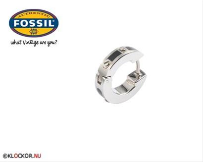 Bild Fossil Örhängen JF83869