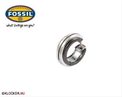 Bild Fossil Örhängen JF83871