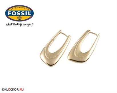 Bild Fossil Örhängen JF83945