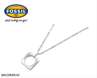 Bild Fossil Halsband JF84001