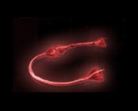 Bild ATA Neon RÃ¶d - 90 cm 