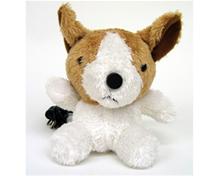 Bild Webbkamera, hundvalp 