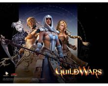Bild Tex-Mat GuildWars 
