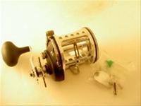 Bild Havsfiskerulle Catalina CT45L