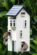 Bild Wildlife Garden Townhouse Sandstone