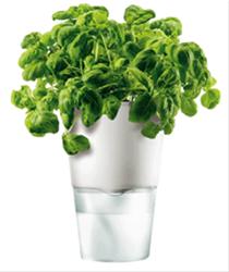 Bild Eva Solo Självvattnande Kruka Vit - Eva Solo, Höjd 11 cm