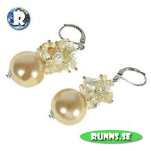 Bild Örhängen - Stenar och Pärlor (campagne)