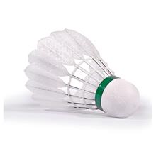 Bild Victor Carbosonic CS No2