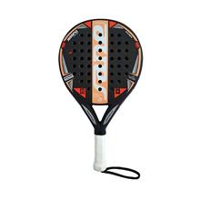 Bild Sane Rissing Carbon Legend 3D