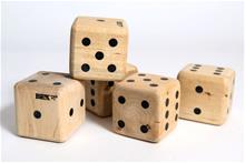 Bild Bex Sport JätteYatzy Family